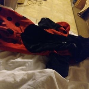 Lady bug baby costume